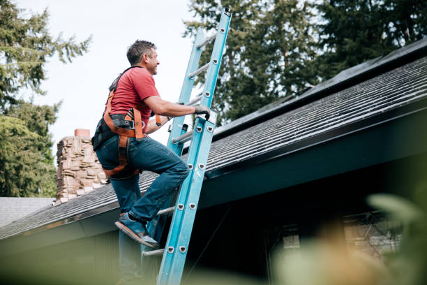 Best Roof Moss and Algae Removal  in Sandy Springs, GA